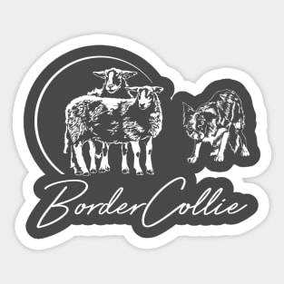 Herding Border Collie with Sheeps Sticker